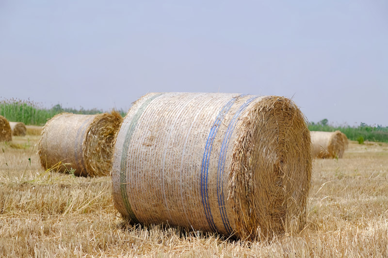 Where to Buy the Best-value Bale Net Wrap-A Practical Guide for Farmers Net Wrap